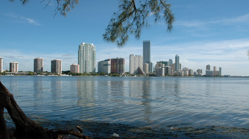 miami skyline